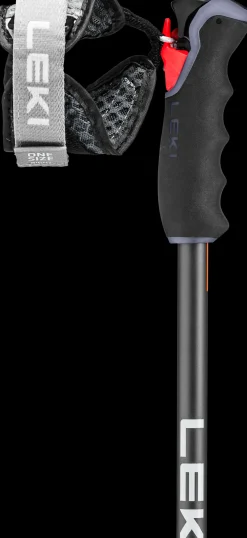 LEKI Peak Vario 3D